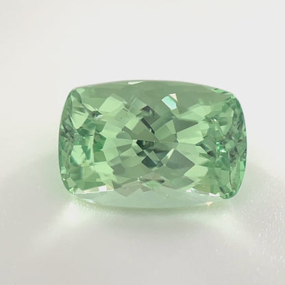 PG-274-8-1 Merelani Mint Garnet 6.5 x 9.5 MM Cushion