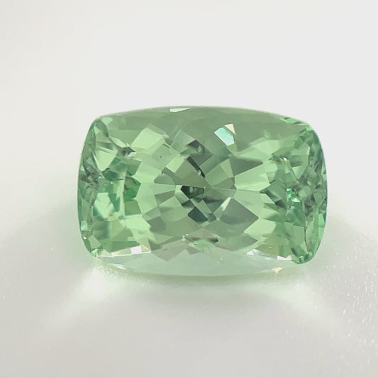 PG-274-8-1 Merelani Mint Garnet 6.5 x 9.5 MM Cushion