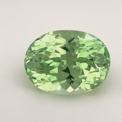 PG-319-2-27 Merelani Mint Garnet 7.1 x 9.4 MM Oval