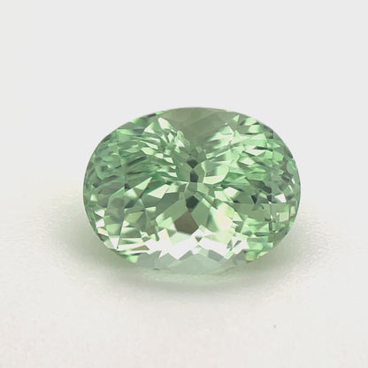 PG-316-79-1 Merelani Mint Garnet 6.4 x 8.3 MM Oval