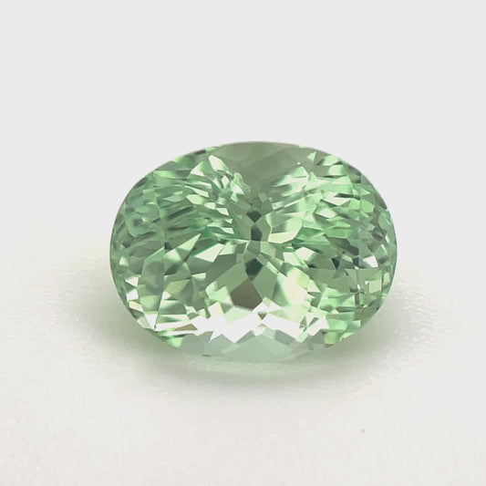 PG-316-79-1 Merelani Mint Garnet 6.4 x 8.3 MM Oval