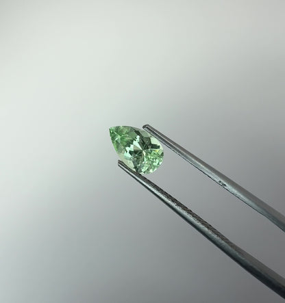 PG-302-1-1 Merelani Mint Garnet 5.1 x 8.1 MM Pear 1.01cts