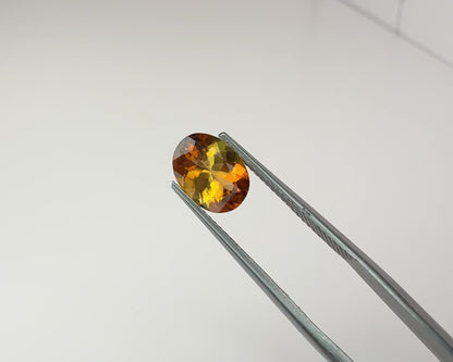 PG-51-24-OJ Tourmaline 7.2 x 9.6 MM Oval 1.72cts