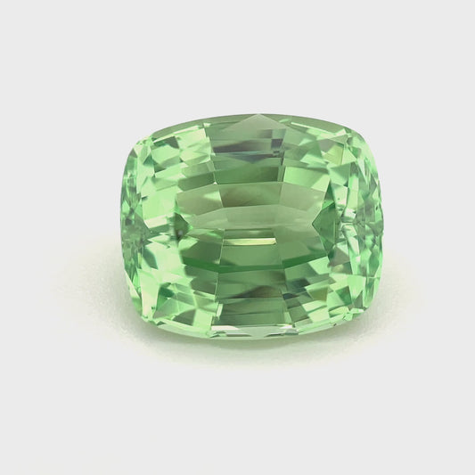 PG-MMGBS-119 Mint Garnet 9  x 10.5 MM Cushion