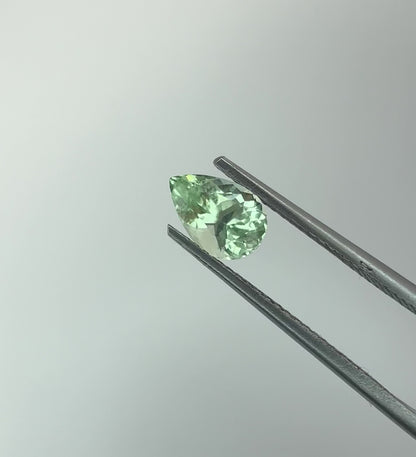 PG-294-11-2 Merelani Mint Garnet 5.2 x 7.6 MM Pear 1.12cts