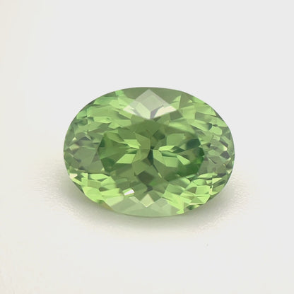 PG-24-7 Merelani Mint Garnet 8.7 x 10.2 MM Oval
