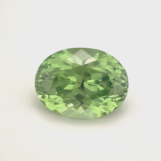 PG-24-7 Merelani Mint Garnet 8.7 x 10.2 MM Oval