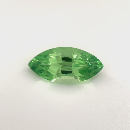 PG-73-9-2 Tsavorite 5.0 x 10.1 MM Marquise 1.19cts