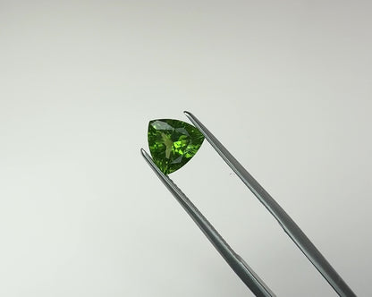 PG-73-10-MW Tourmaline 7.9 MM Trilliant 1.56cts