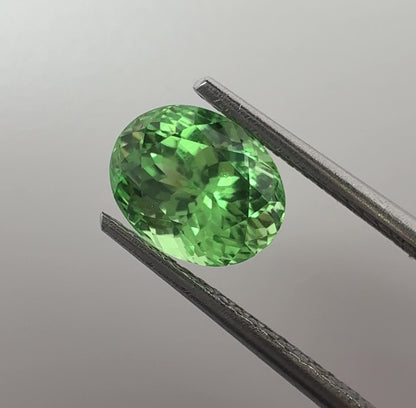 PG-T102-25 Tsavorite 6.3 x 7.9 MM Oval 2.07cts