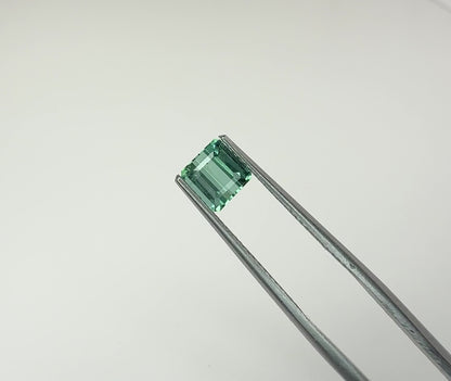 PG-TSTU-43-JO Tourmaline 5.7 x 5.8 MM Square Cushion 1.16cts