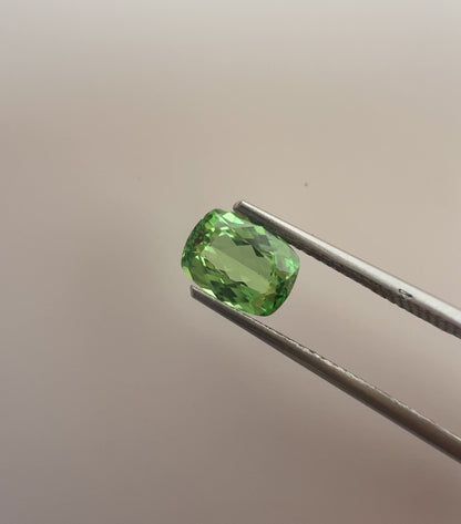 PG-190-8-1 Tsavorite 5.6 x 7.5 MM Cushion 1.27cts