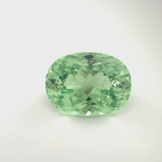 PG-82-47 Merelani Mint Garnet 8.9 x 11.9 MM Oval