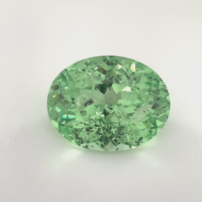 PG-97-66 Merelani Mint Garnet 8.1 x 10.5 MM Oval