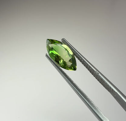 PG-15-71 Tourmaline 5.5 x 11 MM Marquise 1.31cts