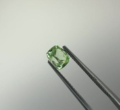 PG-311-76-2 Merelani Mint Garnet 5.5 x 6.4 MM Cushion 1.31cts