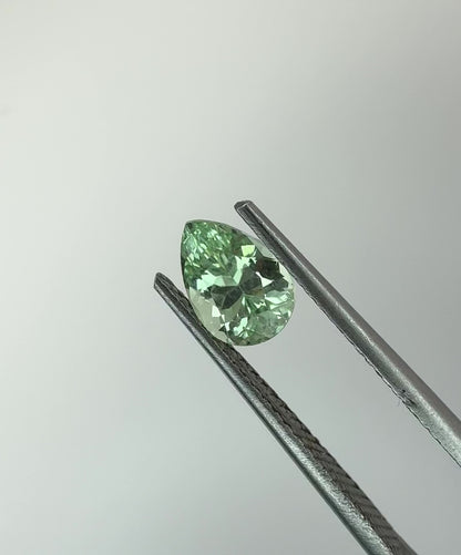 PG-263-6-1 Merelani Mint Garnet 5.1 x 7 MM Pear 1.01cts