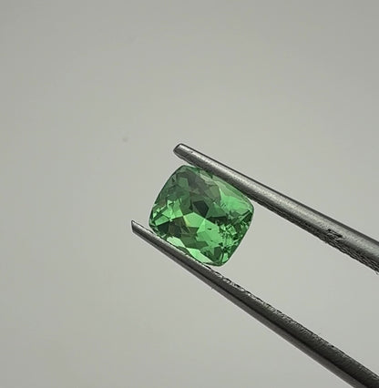PG-325-2-3 Merelani Mint Garnet 5.6 x 6.6 MM Cushion 1.24cts