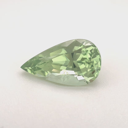 PG-ST-15-3 Merelani Mint Garnet 8.6 x 15.2 Pear