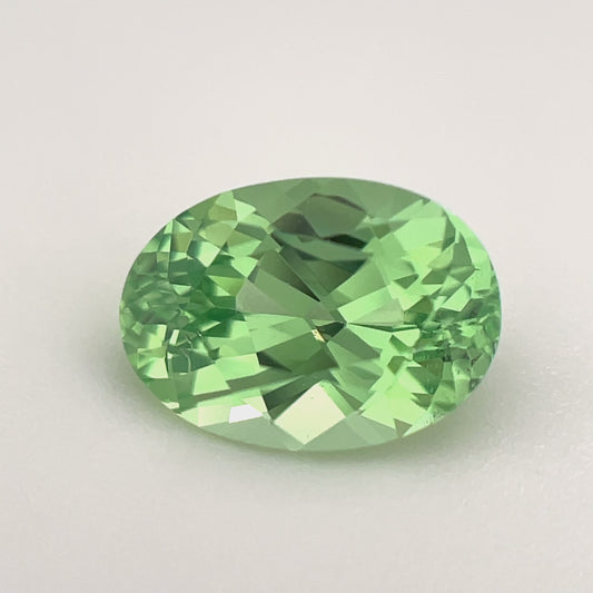 PG-299-12-1 Tsavorite 6.7 x 9.3 MM Oval