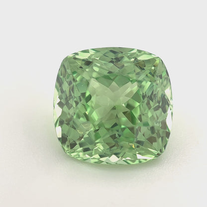 PG-313-137 Merelani Mint Garnet 10 x 10.2 MM Cushion