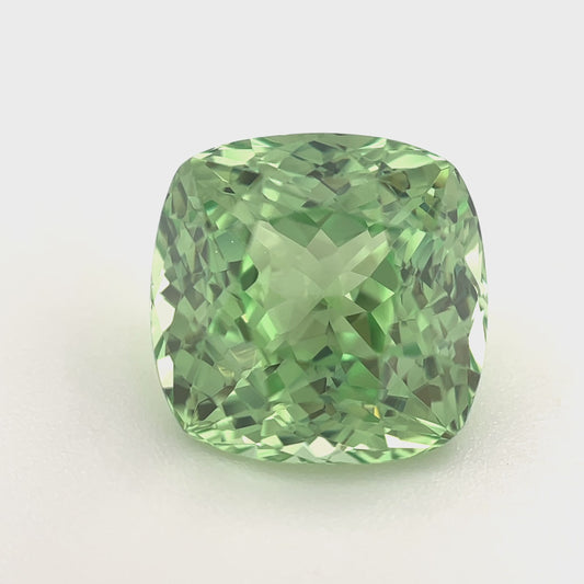 PG-313-137 Merelani Mint Garnet 10 x 10.2 MM Cushion
