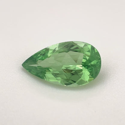 PG-136-50 Merelani Mint Garnet 5.1 x 9 MM Pear