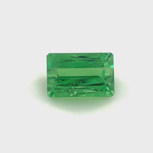 PG-148-10-1 Tsavorite 4.7 x 7.1 MM Emerald 1.46cts