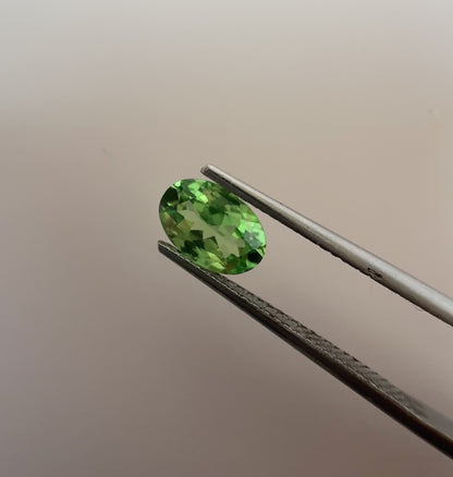 PG-PM1-12 Tsavorite 5.2 x 7.7 MM Oval 1.05cts