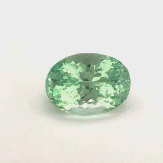 PG-315R-29 Merelani Mint Garnet 8 x 10.8 MM Oval